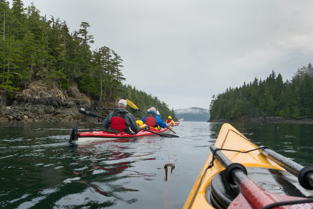 The Johnstone Strait