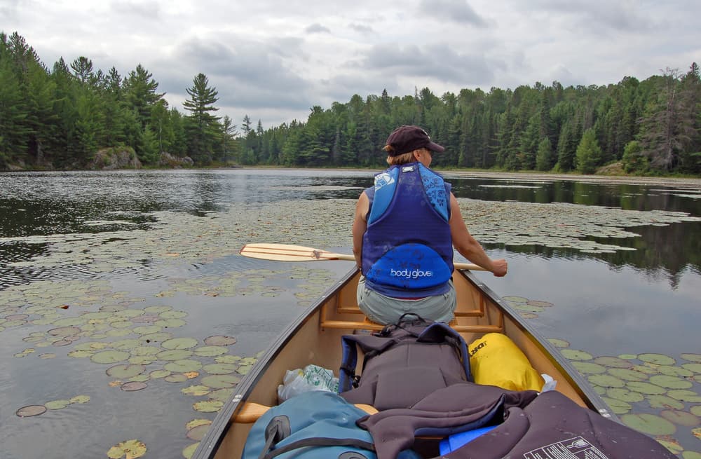 Algonquin provincial park, ON