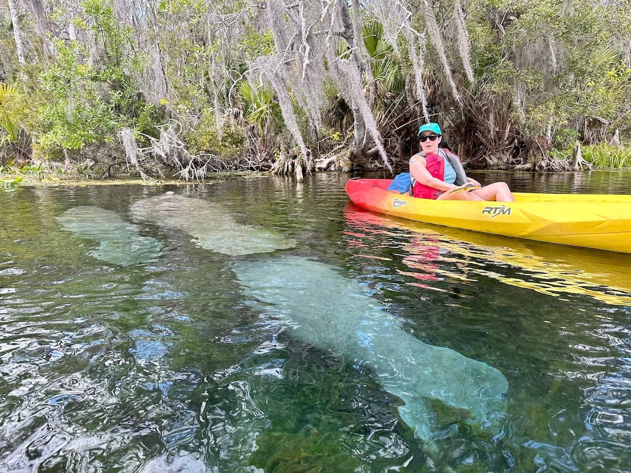 If you have any specific goals or things you simply must see, then you need to know when is the best time to enjoy them. Wildlife in particular is very seasonal in Florida.