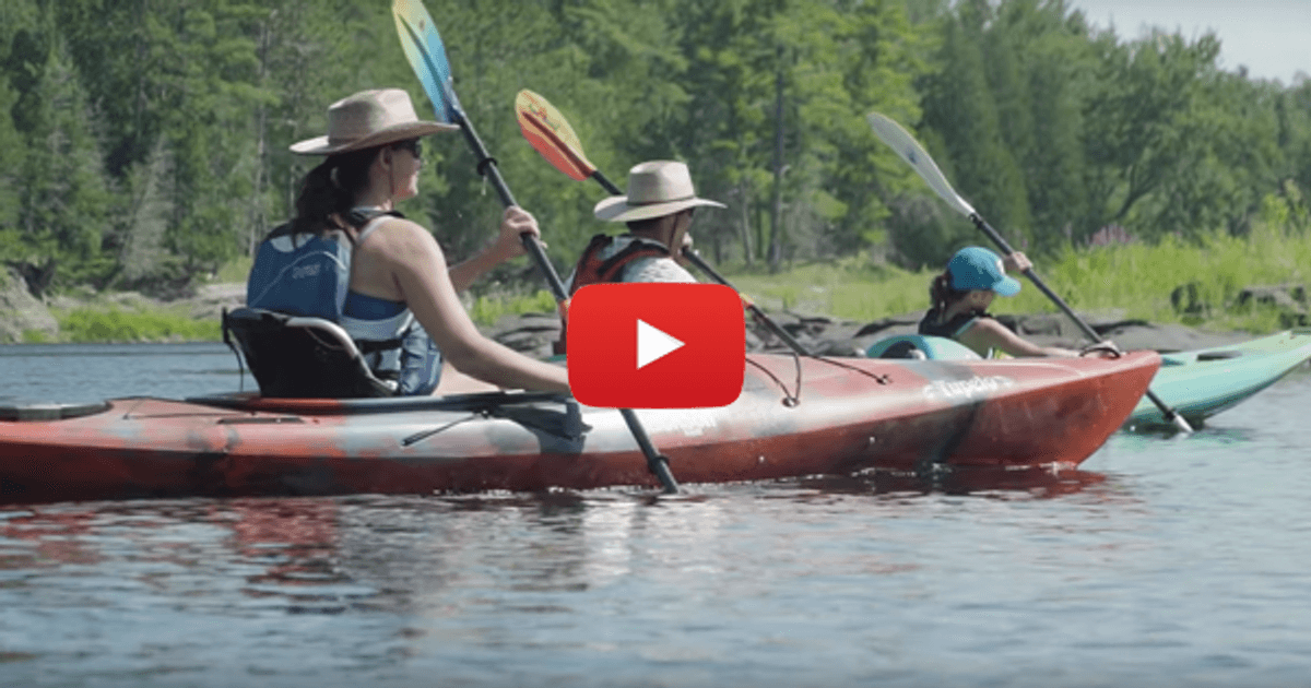 Essential Gear That All Paddlers Need To Carry on The…