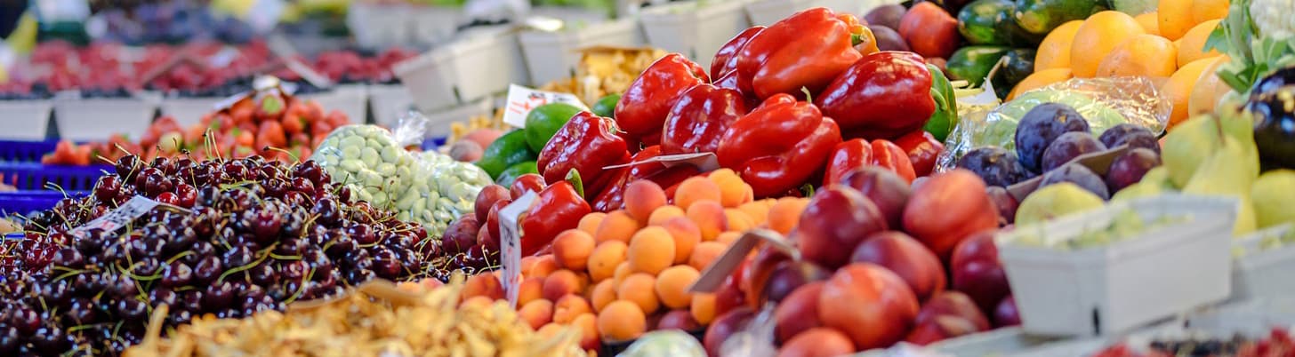 How to Plan a Multi-day Gourmet Paddling Trip How to Plan a Multi-day Gourmet Paddling Trip