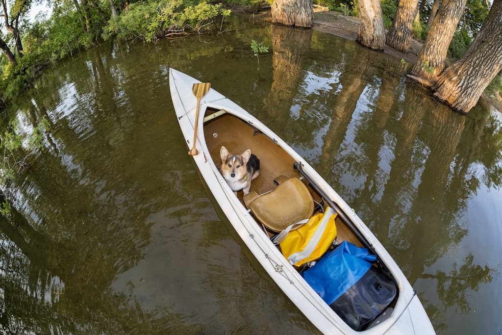 What to pack in your paddling dry bag