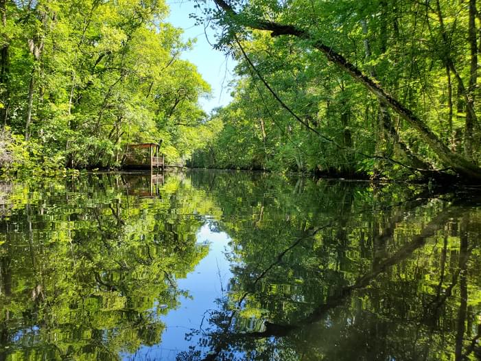 Palmetto Leaves Regional ParkSouth Big Davis Creek