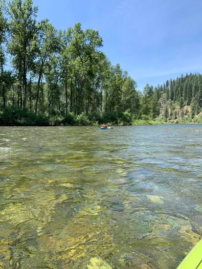 St Joe River @ St Maries, ID - | Paddling.com