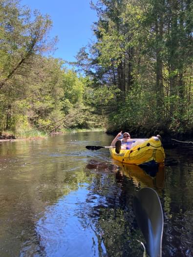 Double Trouble State Park Cedar Creek Paddling Com Double Trouble State Park Cedar Creek Paddling Com