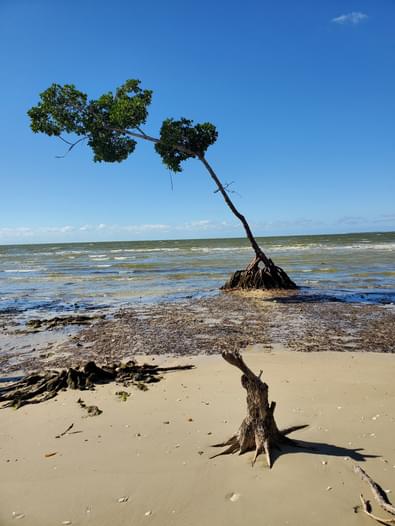 Rabbit Key - Everglades National Park | Paddling.com
