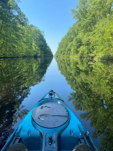 great dismal swamp kayak tours