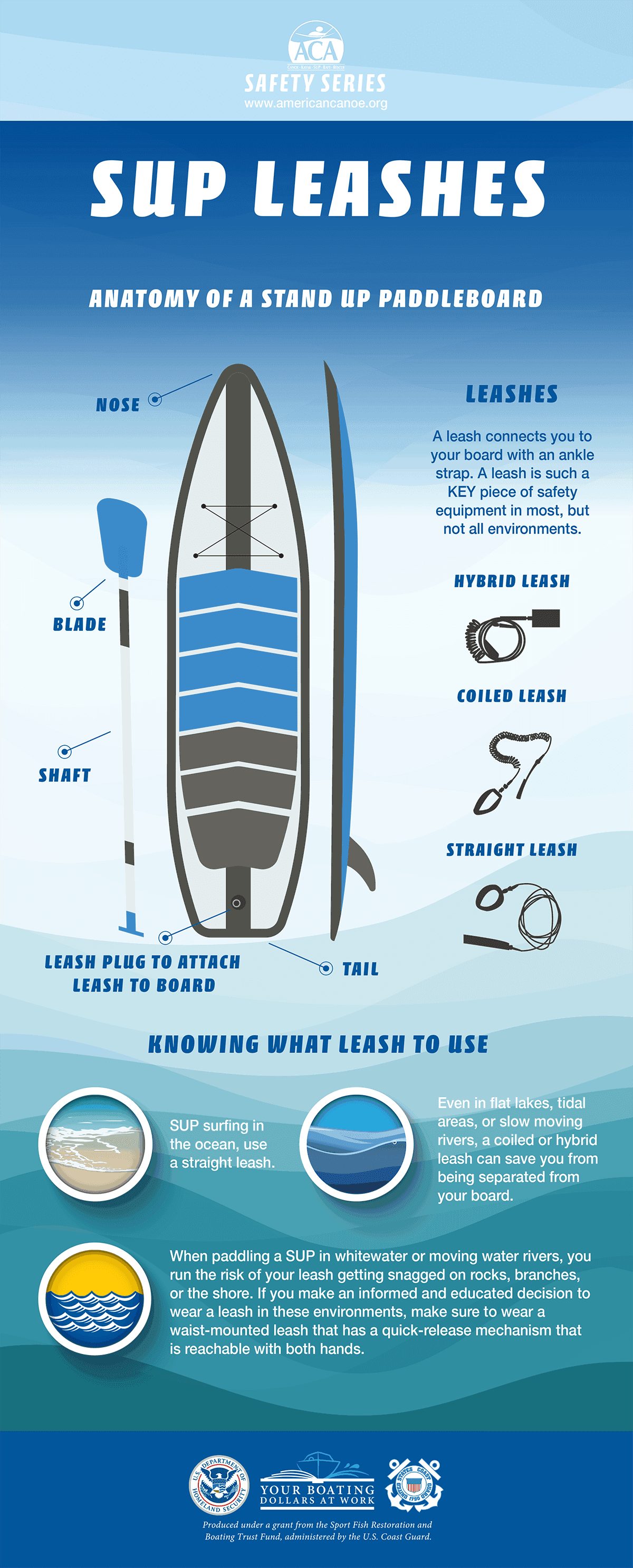 SUP Leashes Infographic SUP Leashes Infographic