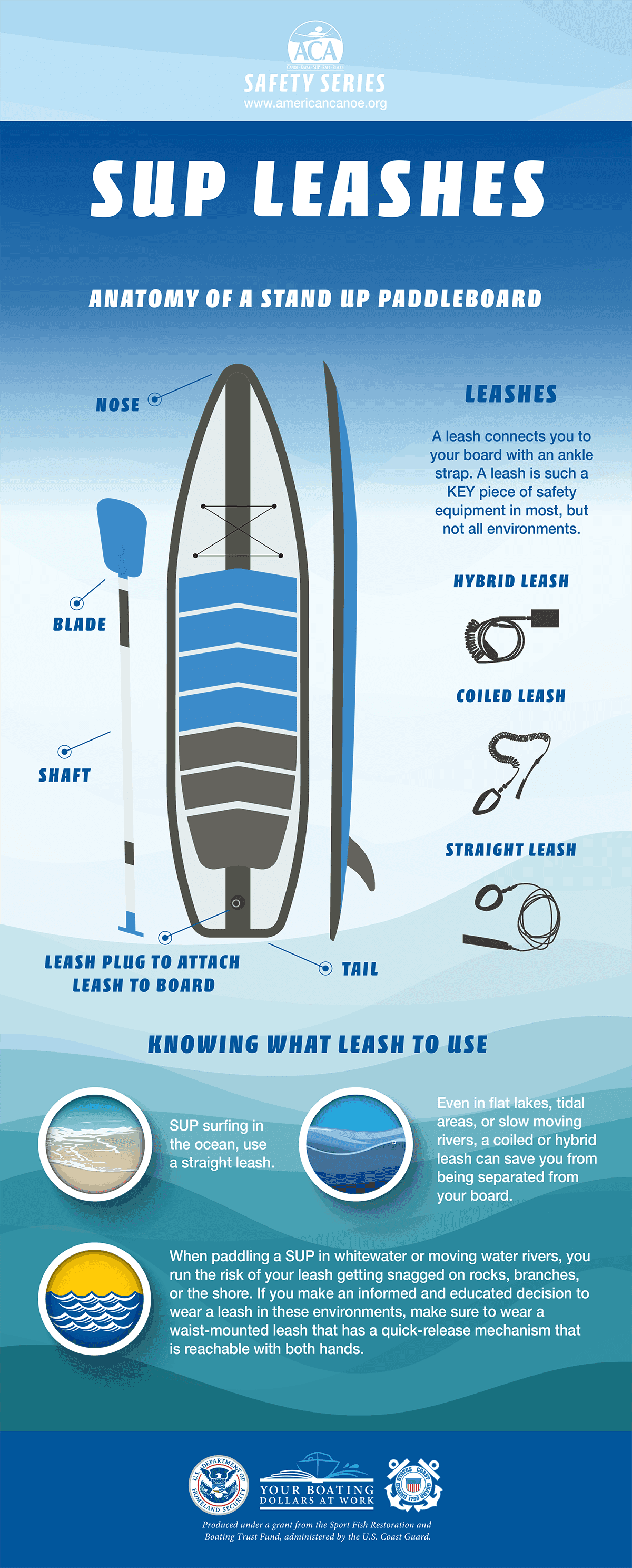 SUP Leashes Infographic