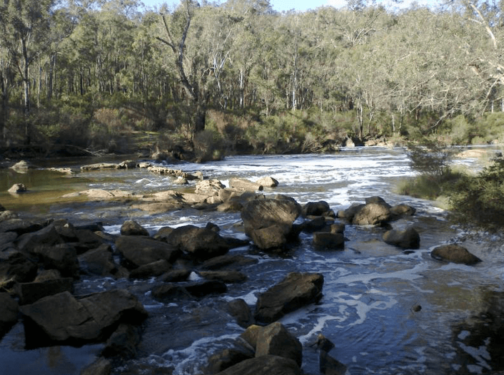 Scarp Pool - Murray River (Lane Poole Reserve, WA) | Paddling.com