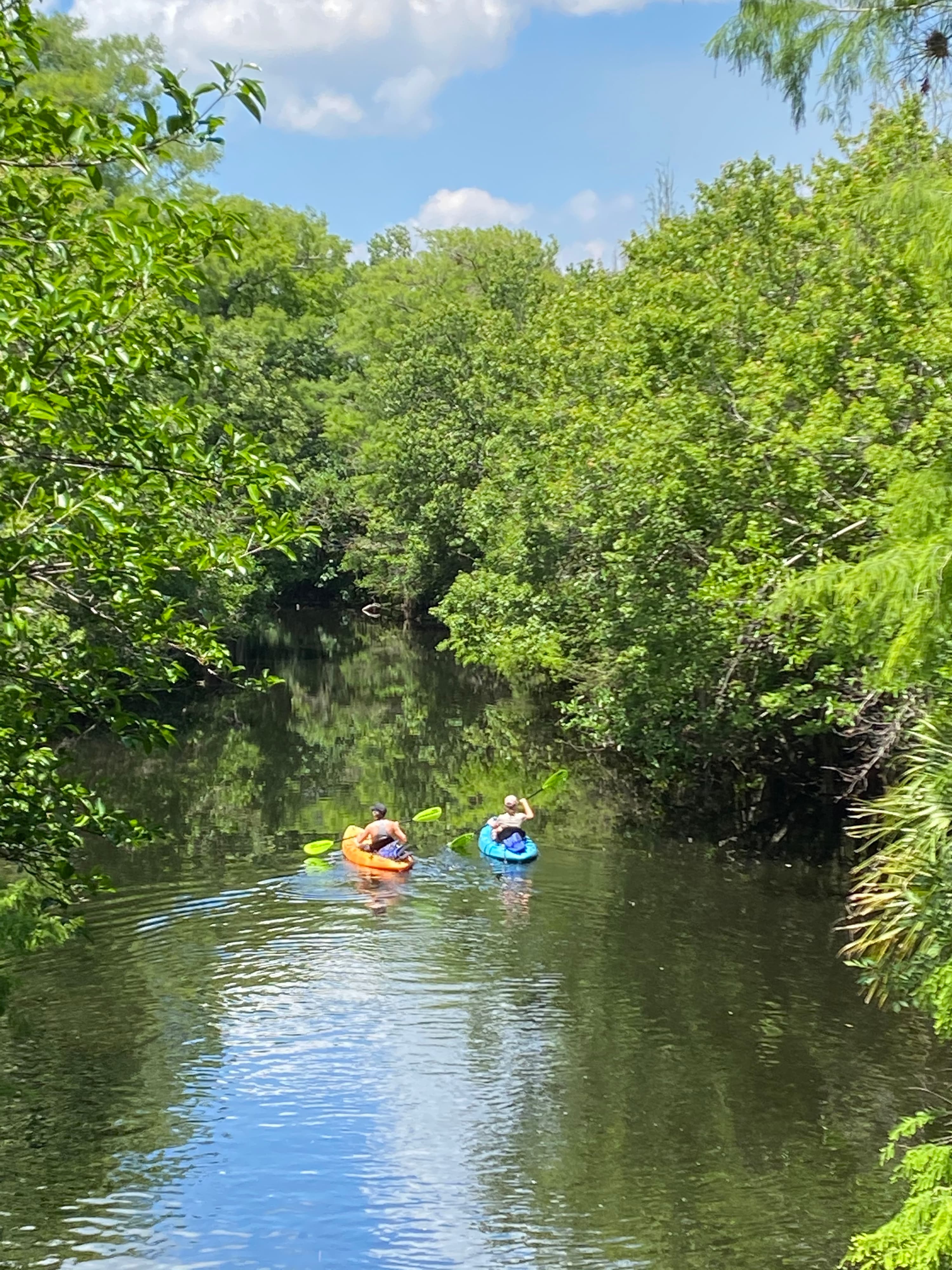 Wild & Scenic Loxahatchee River Tour