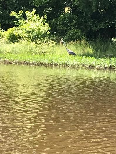 Ni River Reservoir - Ni River Reservoir | Paddling.com