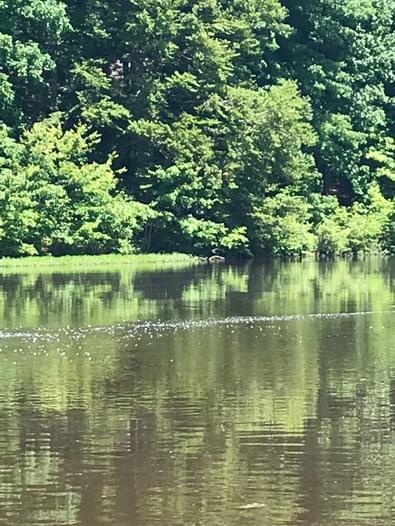Ni River Reservoir - Ni River Reservoir | Paddling.com