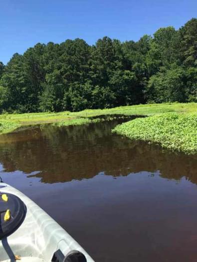 Point Wilson Boat Ramp Lake Wilson Boat Ramp - Lake Wilson | Paddling.com
