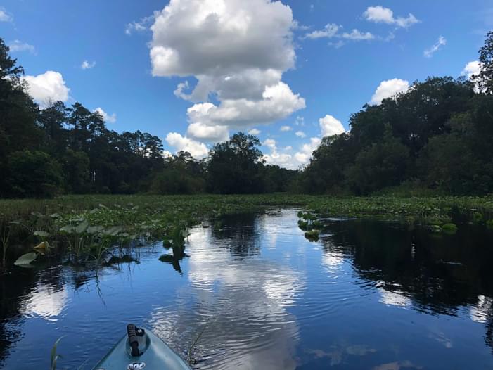 Log Boat Ramp Log Landing,boat ramp - | Paddling.com