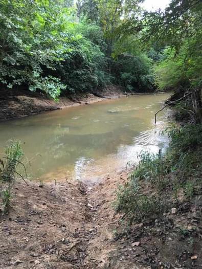Spring Creek Park Launch - Spring Creek | Paddling.com
