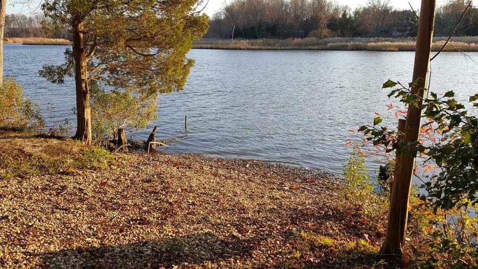 Blackbird Creek Reserve Blackbird Creek