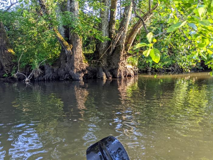 Turner, Oregon Mill Creek