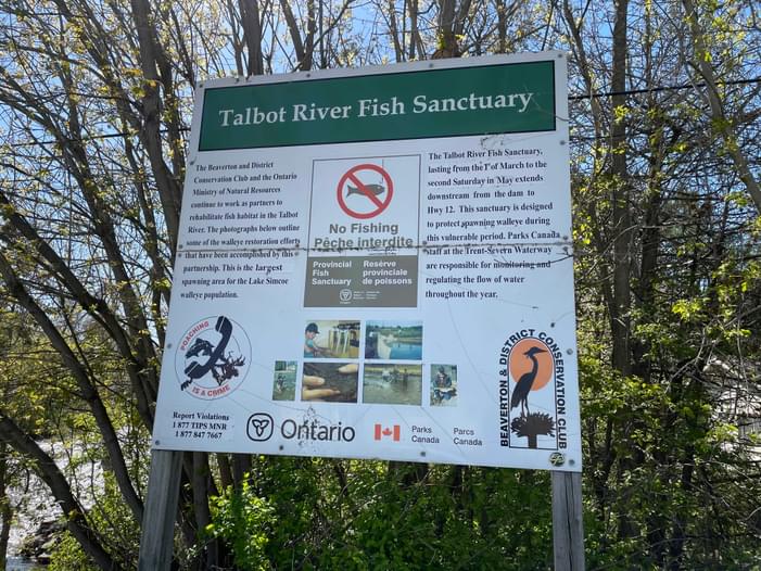 Talot Fish Talbot River Fish Sanctuary - Trent Canal | Paddling.com