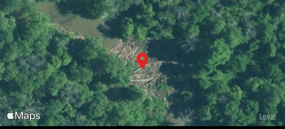 greenville creek greenville creek