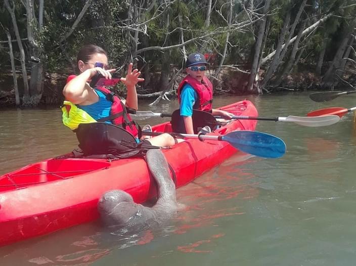 Manatee and Dolphin Kayaking Tour