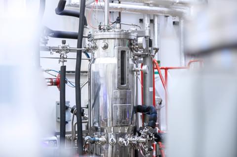 Biocatalysts Fermentation
