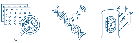 DNA icons Nuclease page Zeichenfläche 1 Kopie 7