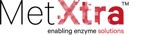Met Xtra Logo RGB