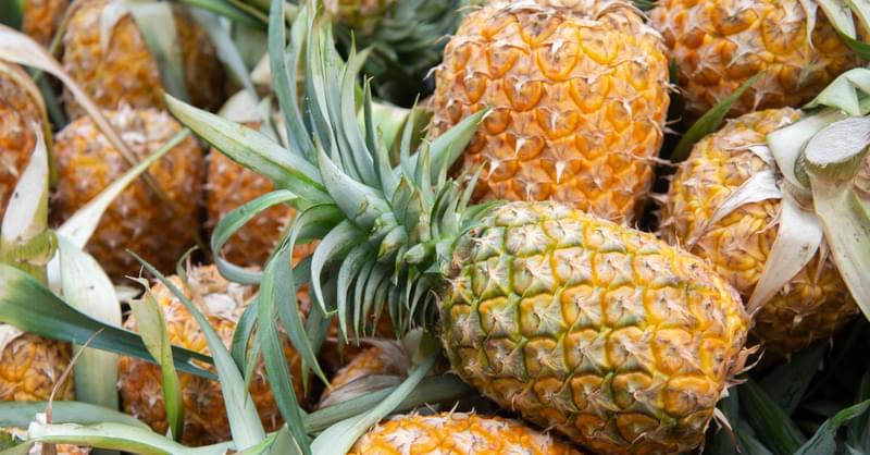 Bromelain (Ananas comosus) Bromelain (Ananas comosus)