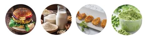 Plant based website sector page 01