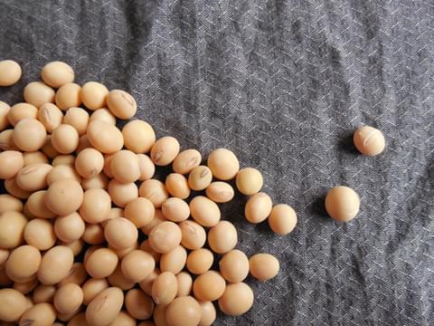 Food produce crop agriculture healthy seeds 1015758 pxhere com