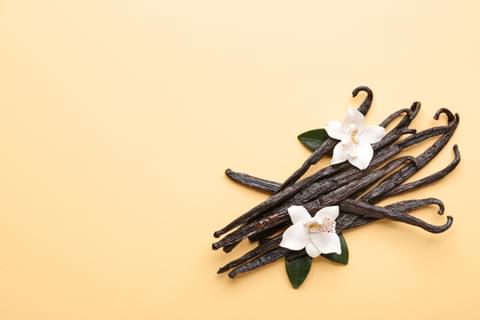 Adobe Stock Vanilla 01