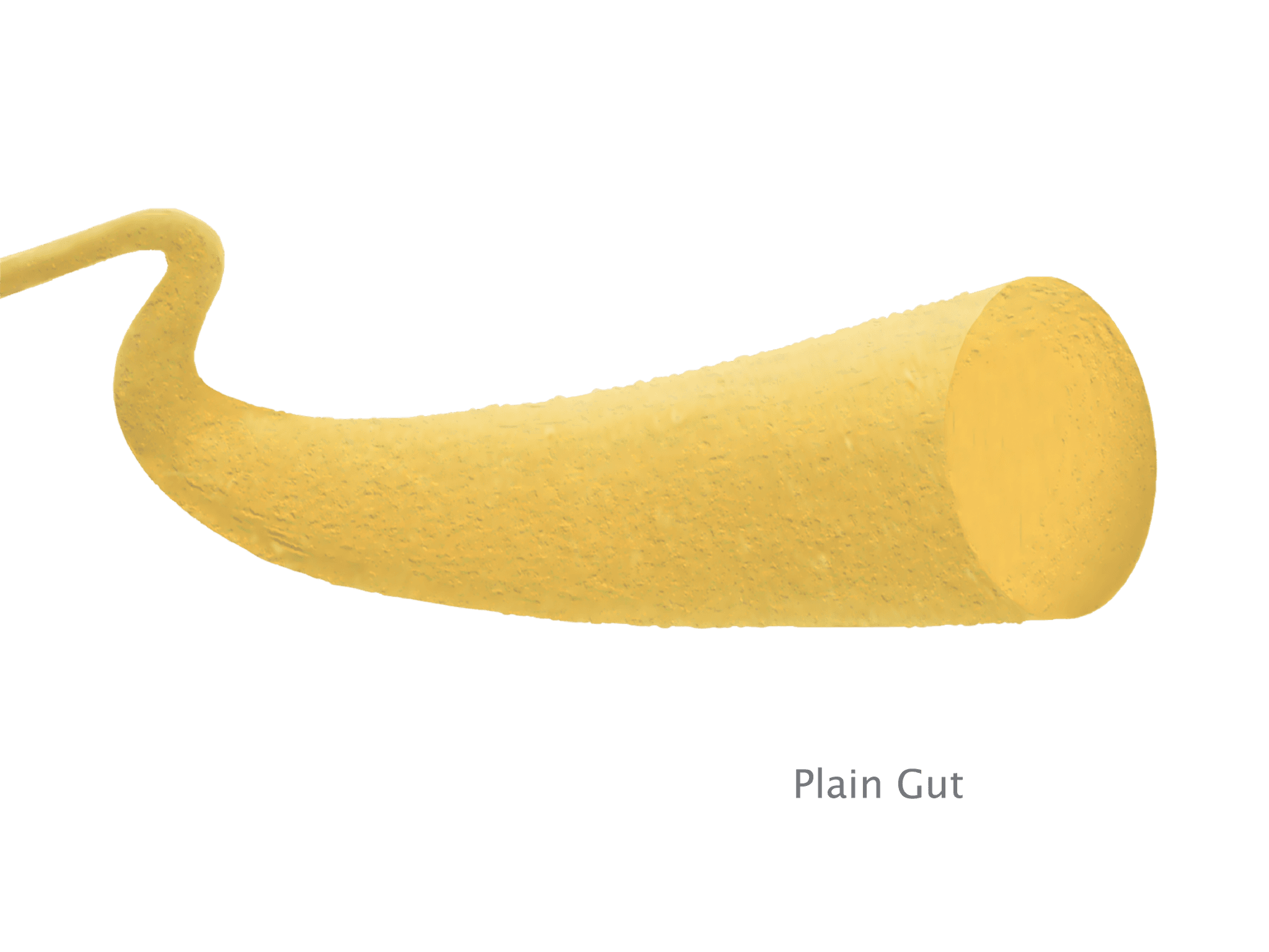 Fast Absorbable Gut X-Gut™ Plain Gut Absorbable Suture - Osteogenics