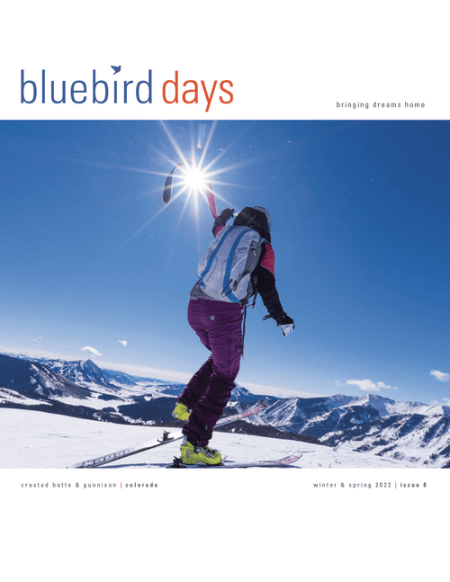 Bluebird Days Magazine