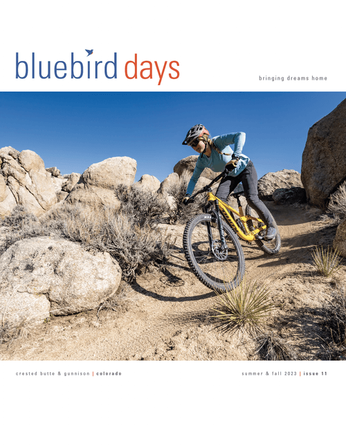 Bluebird Days Magazine