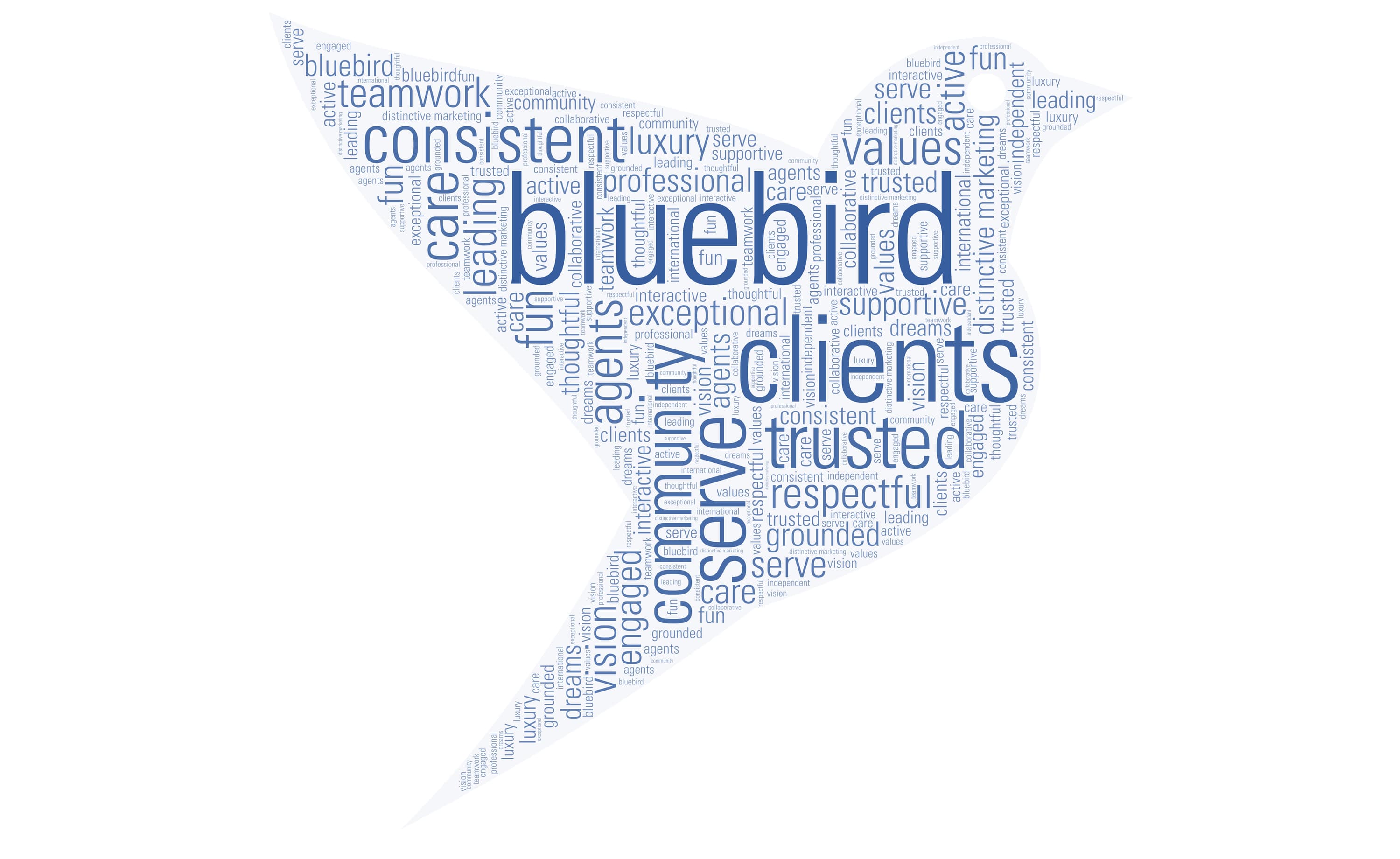 Bird 2
