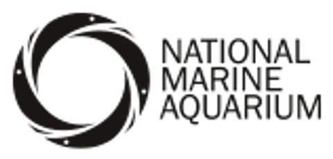 Bluesoup National Marine Aquarium logo