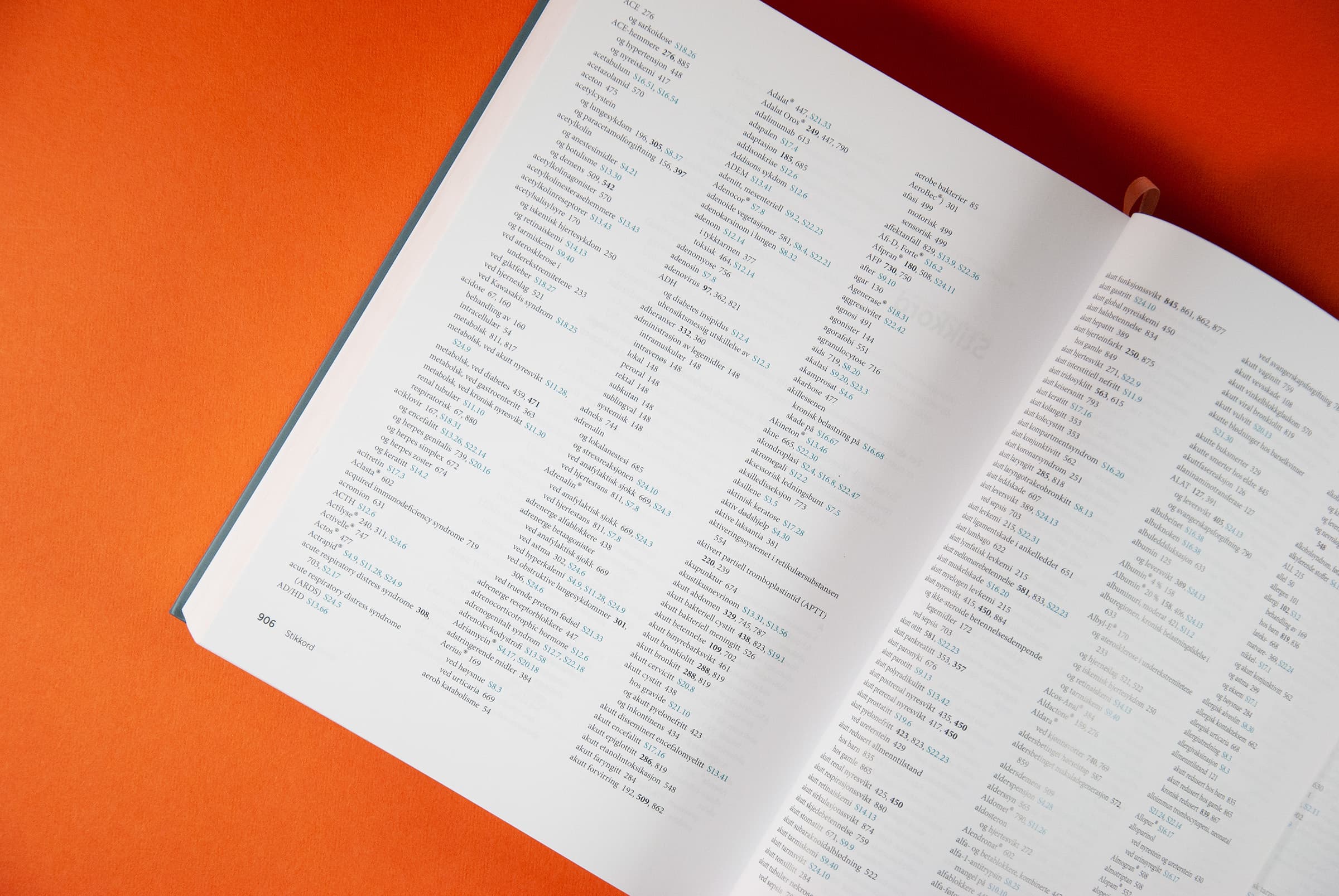 Bildet viser et utsnitt av stikkordsregisteret i boka. Det er 3 spalter med liten tekst. Noen sidetall er i fet, mens andre er blå.