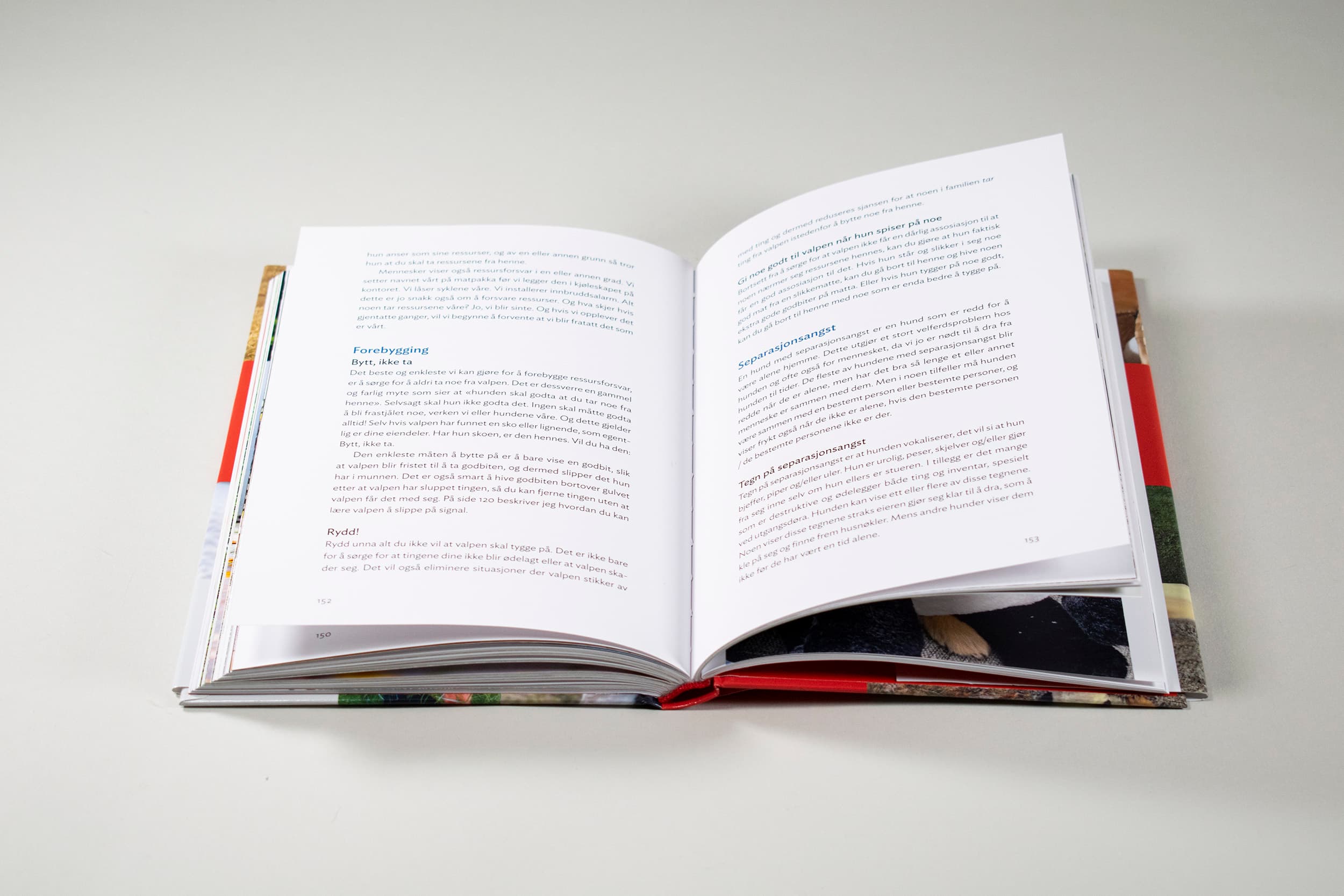 Bildet viser en oppslått bok. Begge sidene har tekst og forskjellige nivåer av overskrifter.