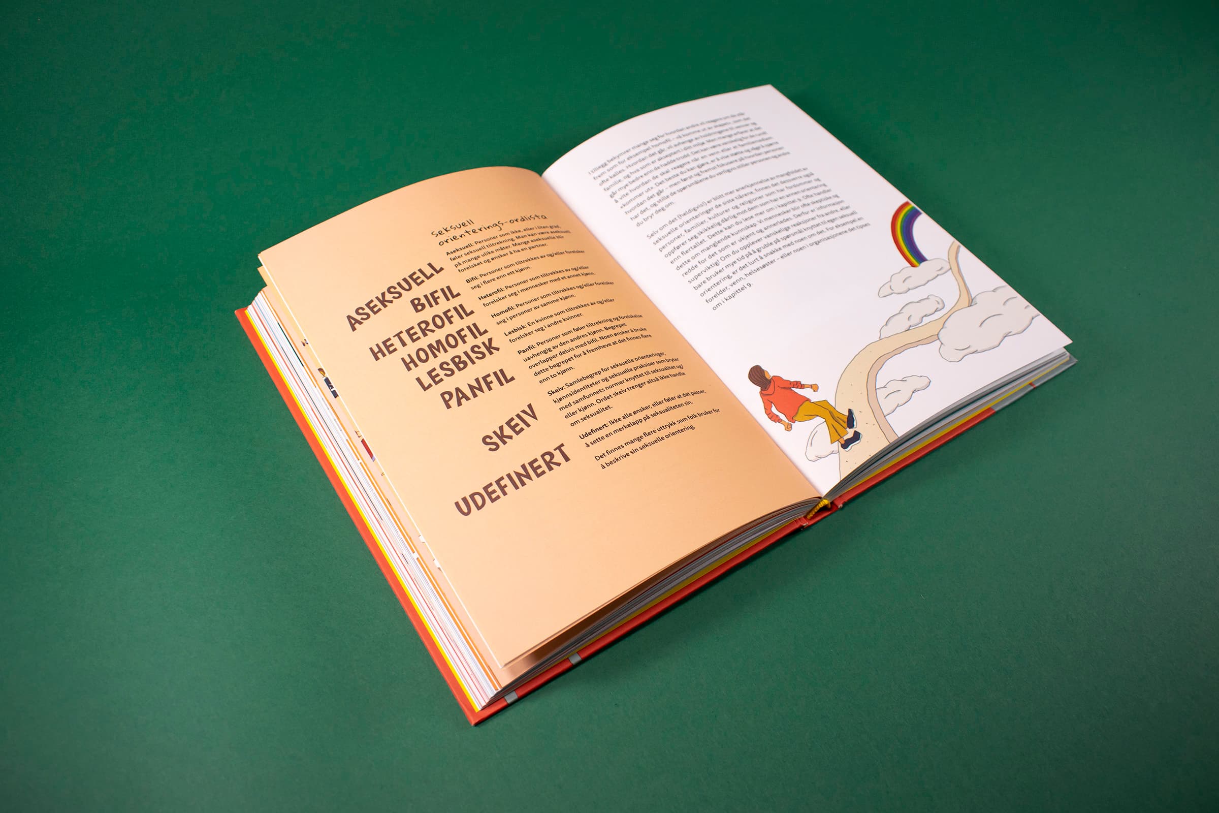 Bildet viser et oppslag i boken som handler om seksualitet og legning. På venstre side er det en liste over ulike legninger man kan ha, og på høyre side er det illustrert en person som går på en regnbue.
