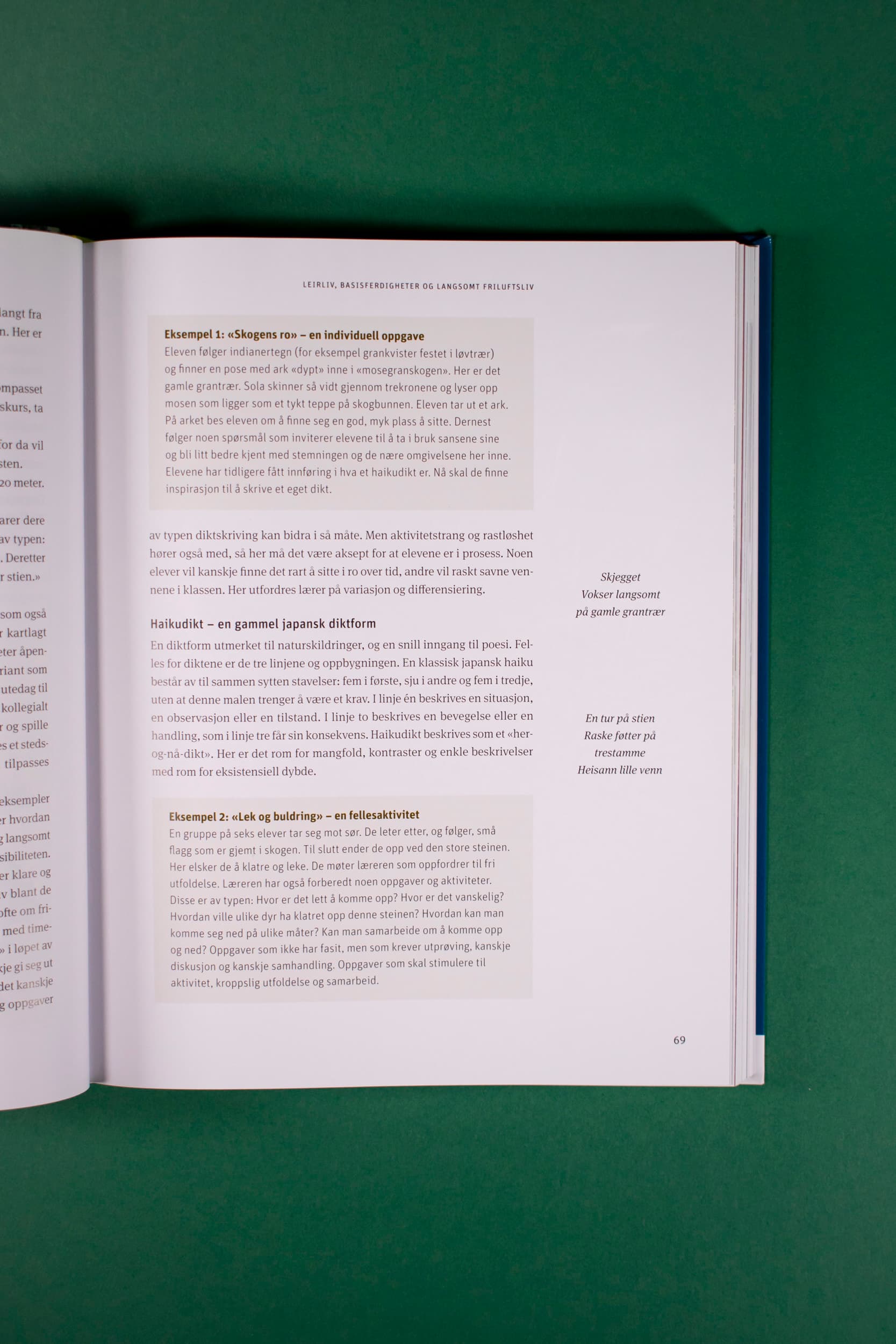 Bildet viser en side i boken hvor det er to eksempelbokser og to små margtekster.