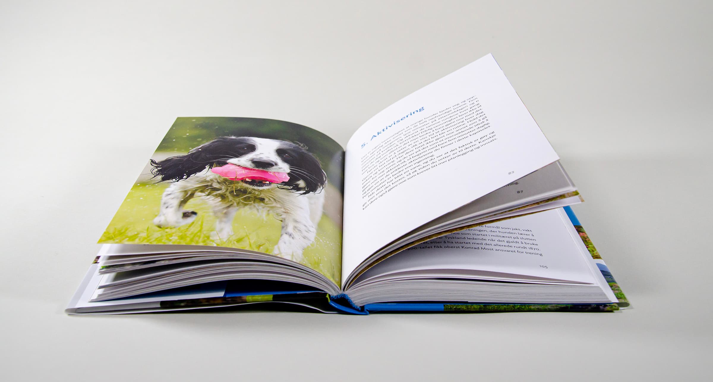 Bildet viser et oppslag med et helsidebilde av en hund med en leke i munnen, og tekst på motsatt side.