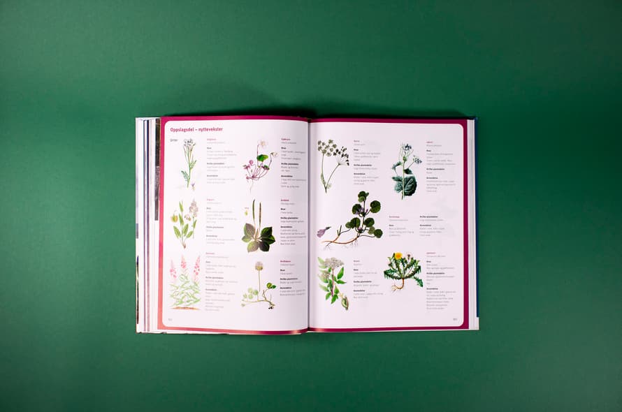 Bildet viser et oppslag av spiselige vekster, presentert som en tradisjonell skoleplansje. Hver plante er tegnet, med en liten tekst med fakta om hver plante ved siden av.