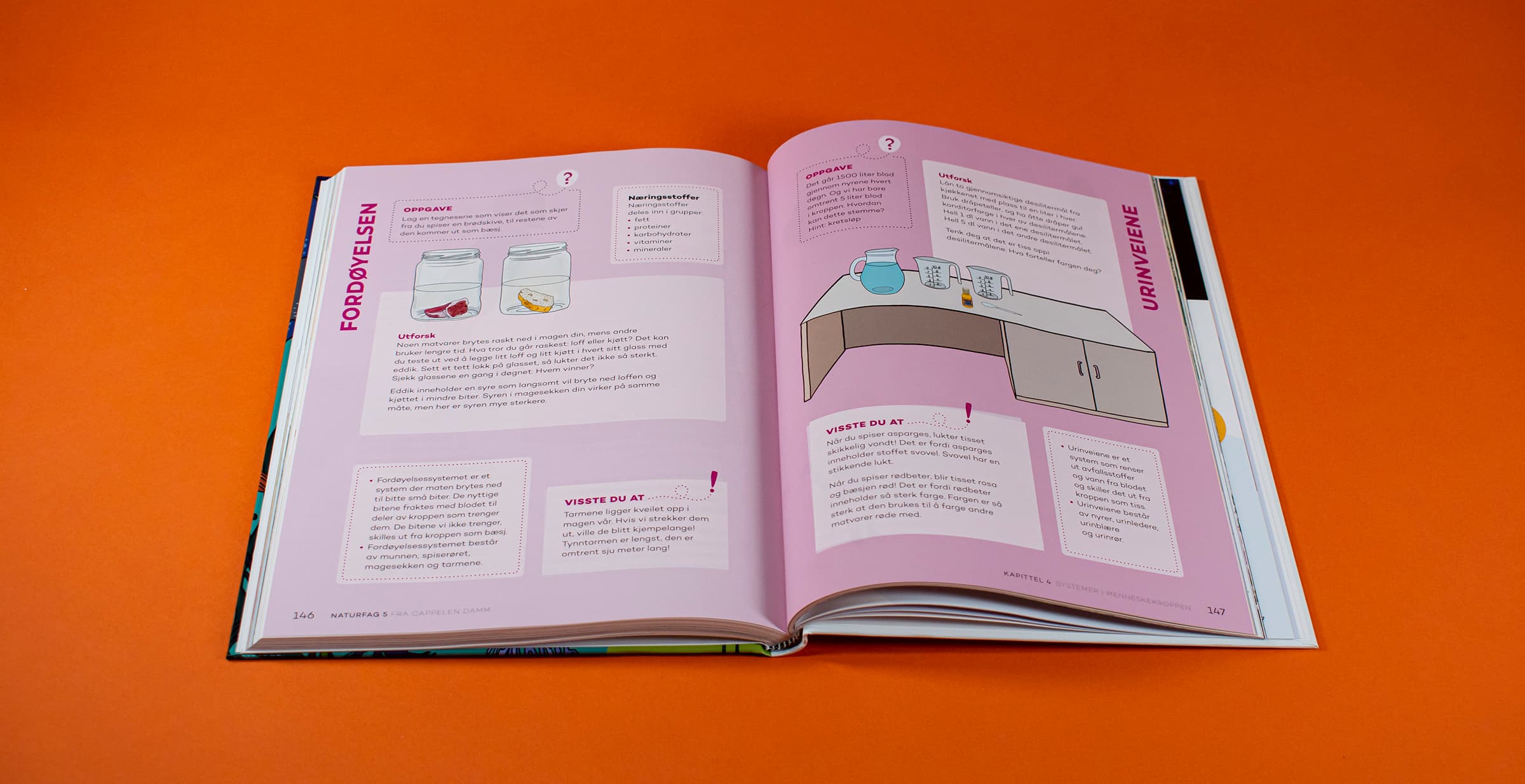 Bildet viser et annerledes oppslag i boken som har rosa bakgrunnsfarge og mange forskjellige bokser.