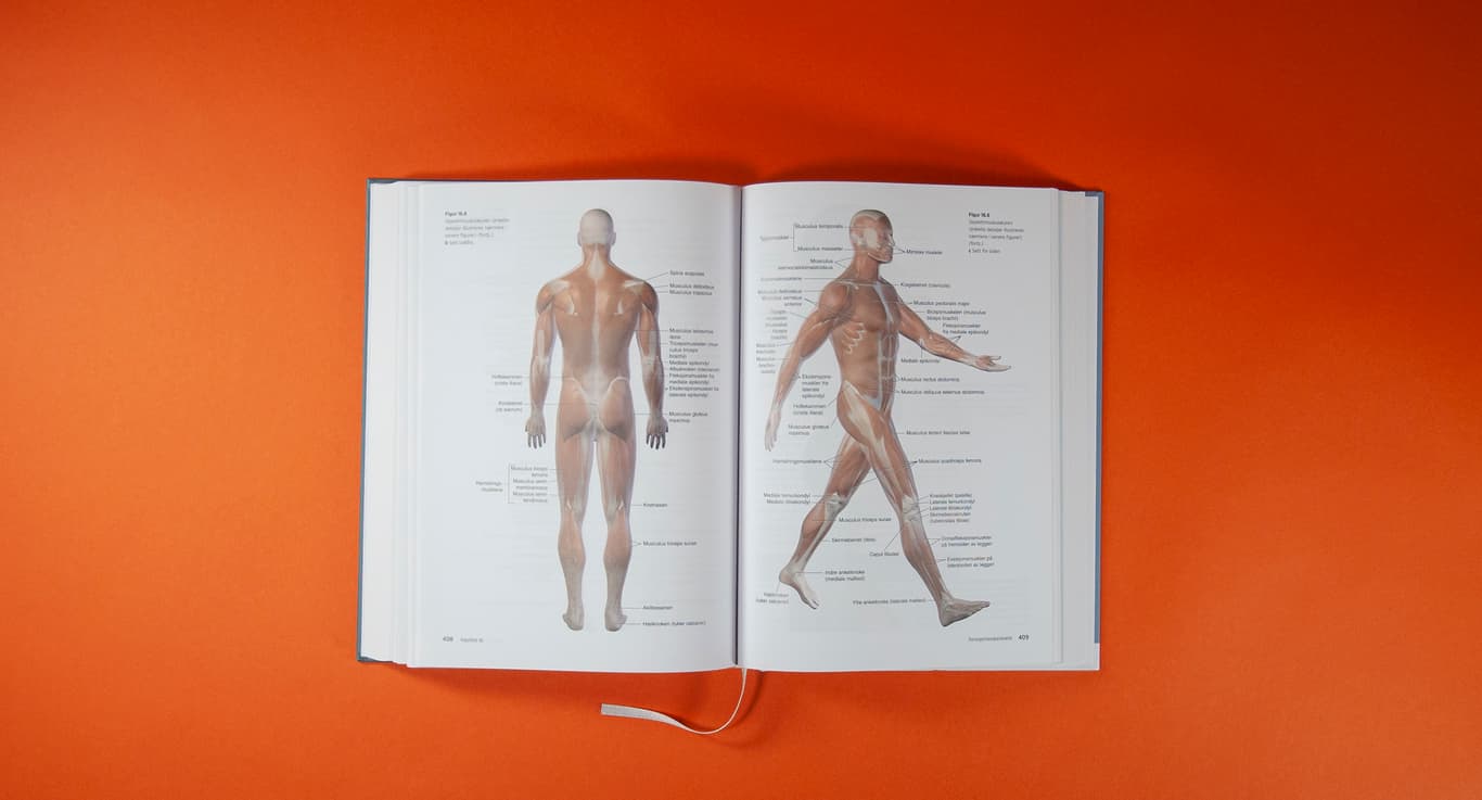 Bildet viser et oppslag av SYK. På venstre side vises anatomien av en mann bakfra. På høyre side vises anatomien av en mann fra siden, som tar et skritt.