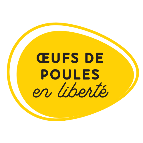 Oeufs de poules en liberté