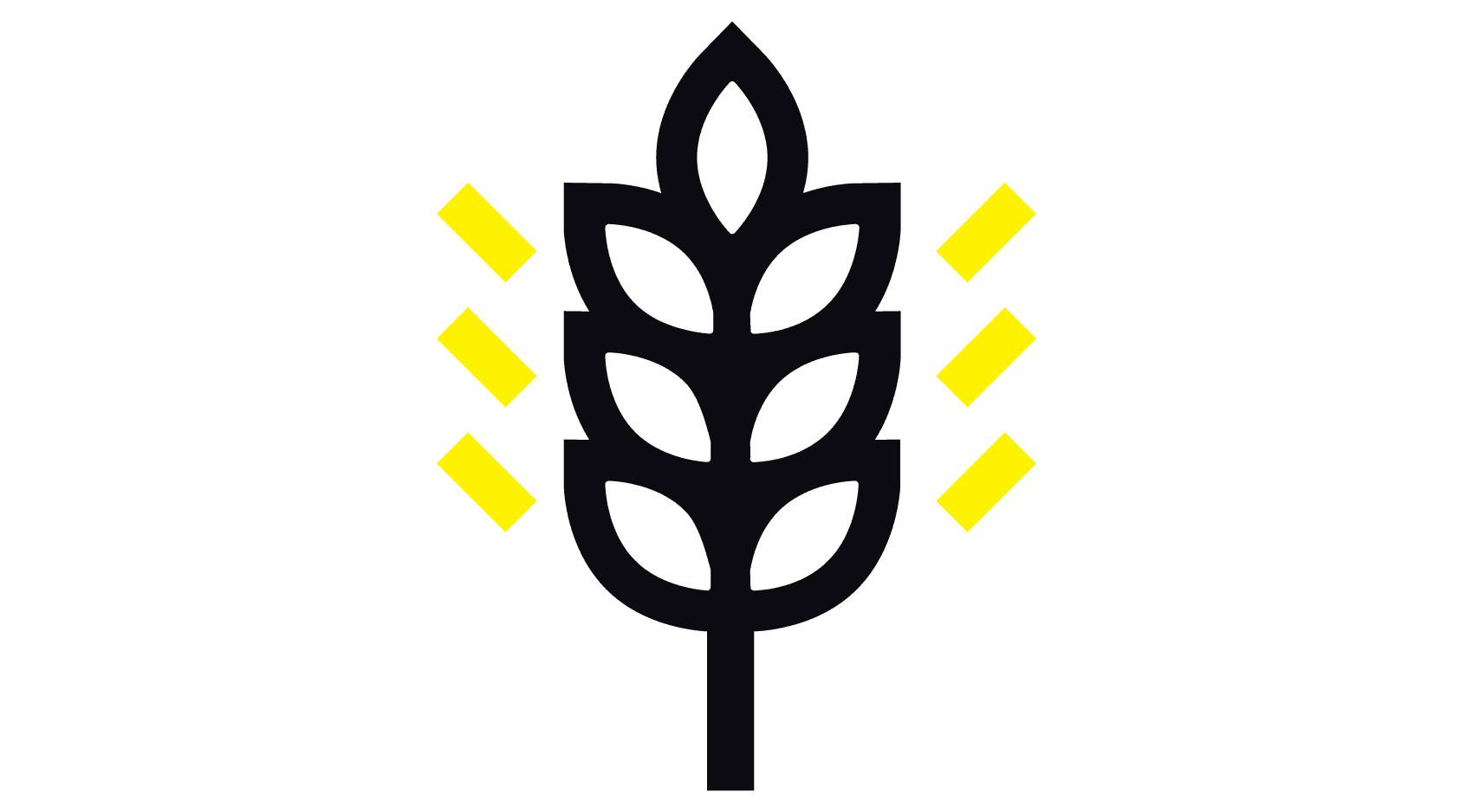 bridor