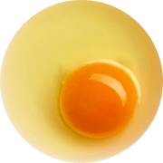 egg