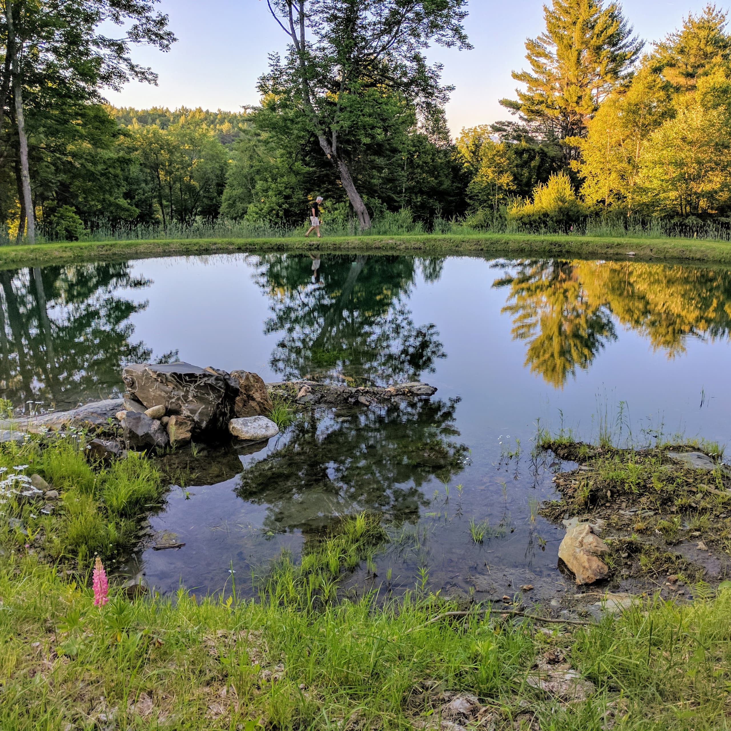 Dug pond