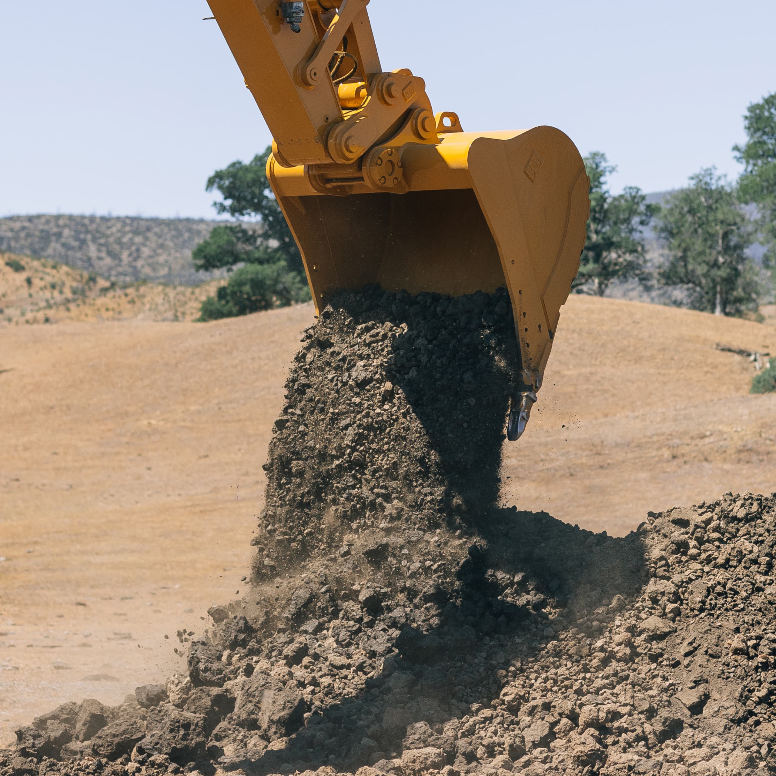 Exosystem manual dumping